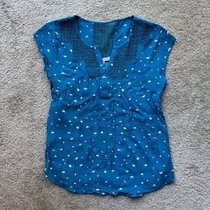 Blue Dandelion Top